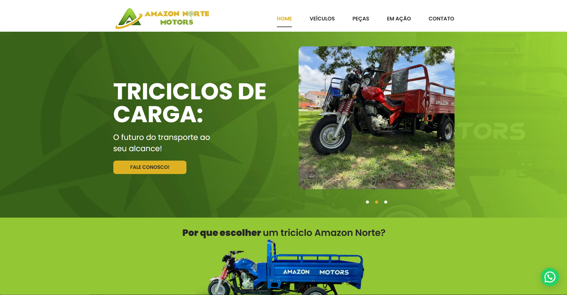 Mockup Amazon Norte Motors